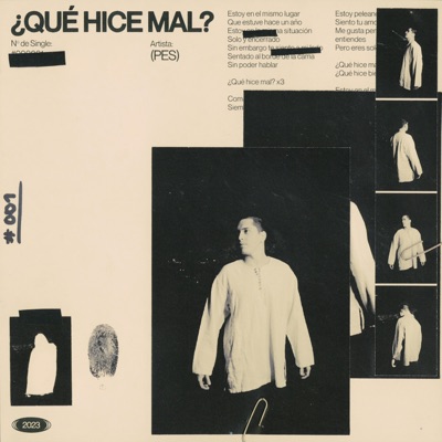 Qué Hice Mal - Single
