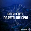 BOTA A BCT NA RETA DOS CRIA (feat. MC Kaka & MC Garoto) - Single