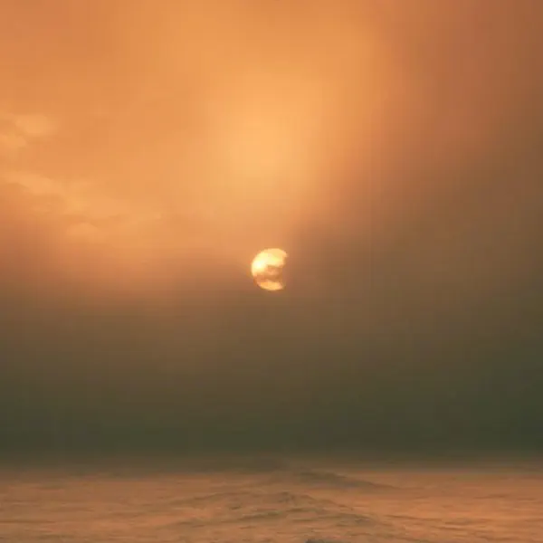 Lotus (Sound Bath) — dozy