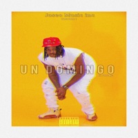 Un Domingo - Single - El Topo Mc