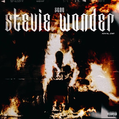 STEVIE WONDER - Single