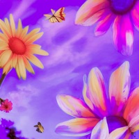 Serotonin (Sped Up) - Single - mxrgan