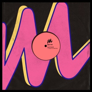 Power in Harmony - EP