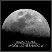 Moonlight Shadow artwork