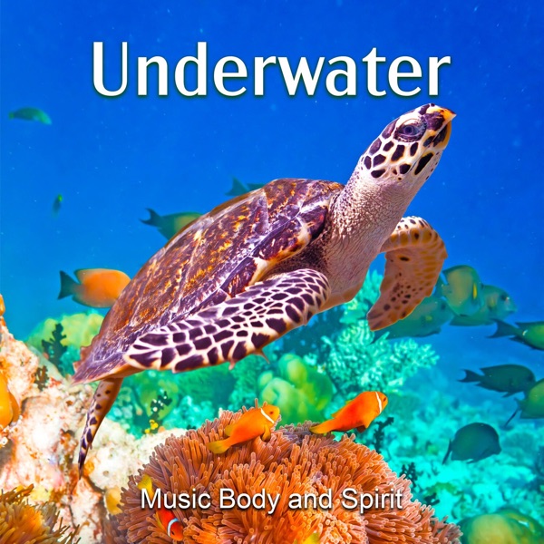 Underwater