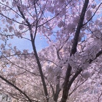 You - Single - Sugiwo