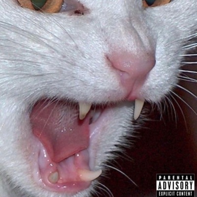 Lullaby Kills - Single