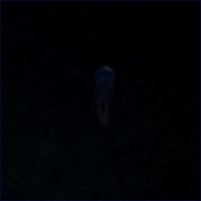 Jellyfish - Single