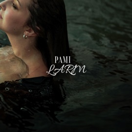 Ciel noir (feat. R ONE) PAMI