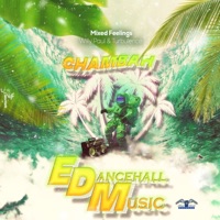 Mixed Feelings (feat. Willy Paul) - Single - Chambah & Turbulence