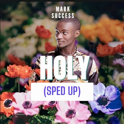 HOLY (Sped up) - Single