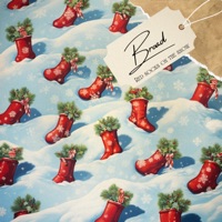 Red Socks On the Snow - Single - BROAD