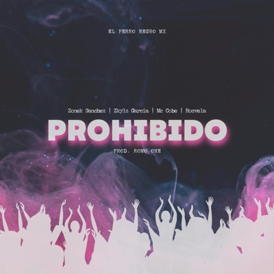 Prohibido (feat. Zkylz Garcia & Rocvela) - Single