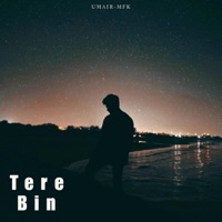 Tere Bin (feat. UMAIR) - Single - MFKv8