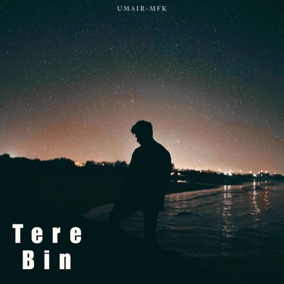 Tere Bin (feat. UMAIR) - Single