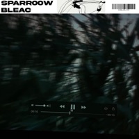 00 (feat. bleac) - Single - sparr00w