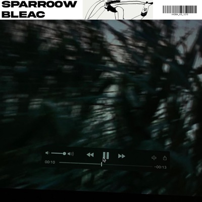 00 (feat. bleac) - Single