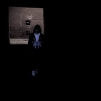 Fancy - Single - fall