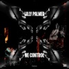 We Control by Lilly Palmer iTunes Track 1