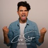 Chris Steger - Leb Dei Lebn