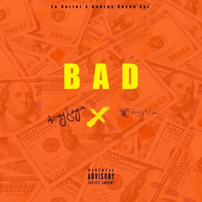 BAD (feat. Aubrey Skyee) - Single