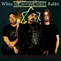 WHITE RABBIT