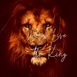 Want No War (Live) Capo FNN