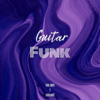 Guitar Funk (feat. Tiger_Modes) - Single - thevillain267
