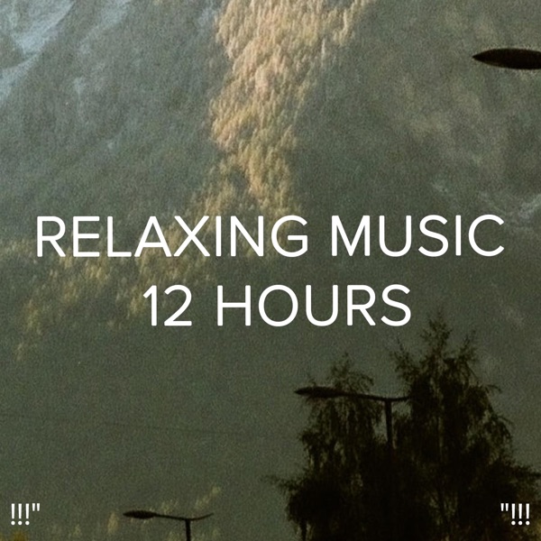 !!!" Relaxing Music 12 Hours "!!!