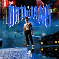 DR1LLAND - TARA