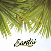 Santai (feat. Dizo) - Single