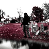 Sane Thoughts - Emental