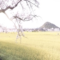 Goin2my Pad - Single - i9bonsai