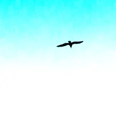 Listen to Captnjones REED, watch music videos, read bio, see tour dates & more!