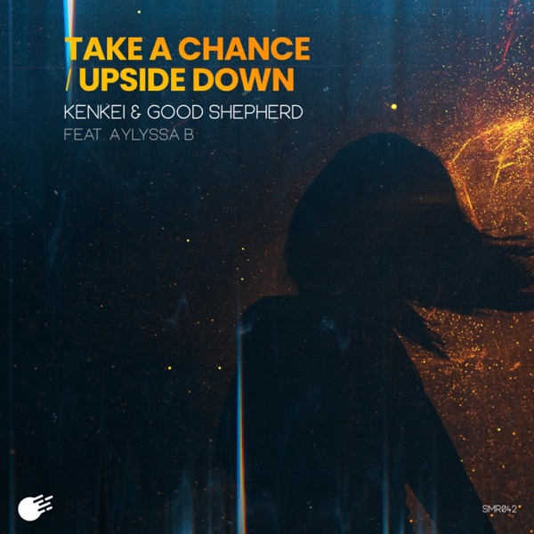 Take a Chance / Upside Down - Single