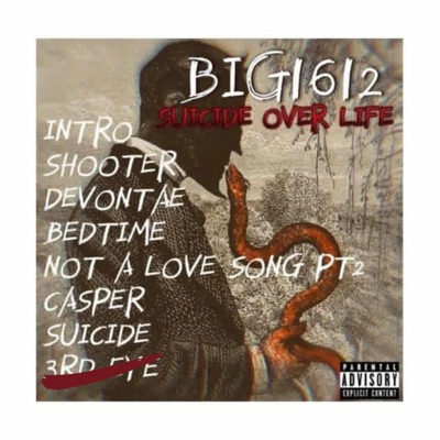 Suicide Over Life
