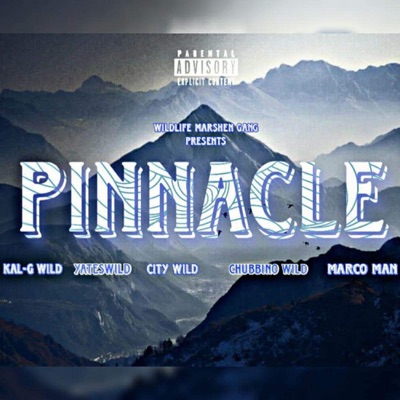 Pinnacle (feat. City Wild, Yates Wild, Marco Man & Chubbino Wild) - Single