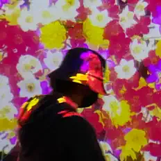 Listen to Howl, watch music videos, read bio, see tour dates & more!