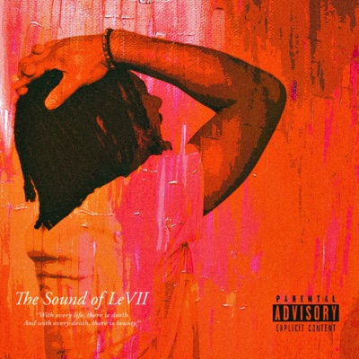 The Sound of LeVII