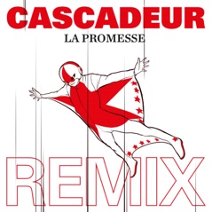 La promesse (Niklas Paschburg Remix) - Single