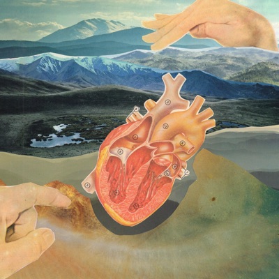 Shape of My Heart (feat. Torgny Elgstrand) - Single
