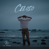 Celoso artwork