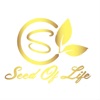 Seed Of Life - Umenibamba
