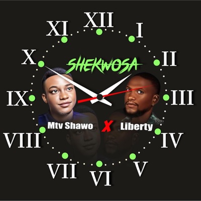Shekwosa (feat. Liberty Sazhepoyi) - Single
