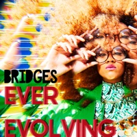 Ever Evolving EP - Bridges