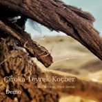 Çîroka Teyrek Koçber (Demo Version) [Demo Version] - Single