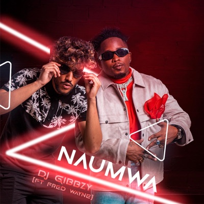 Naumwa (feat. Fred Wayne) - Single