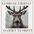 Como el Ciervo