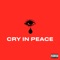 Cry In Peace - one-three lyrics