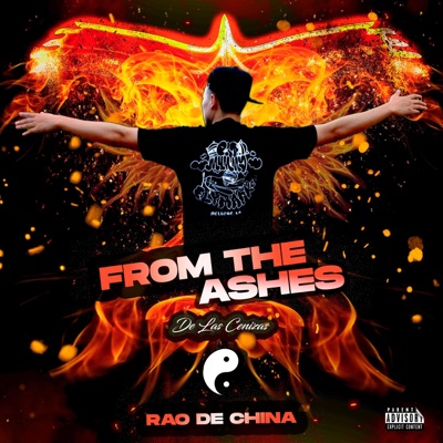 From the Ashes - Single
